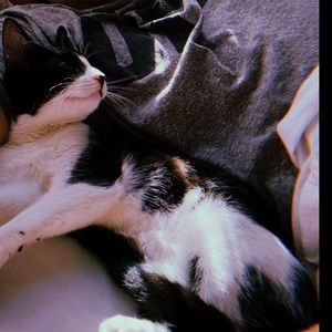 Meet your Posher, Garrett